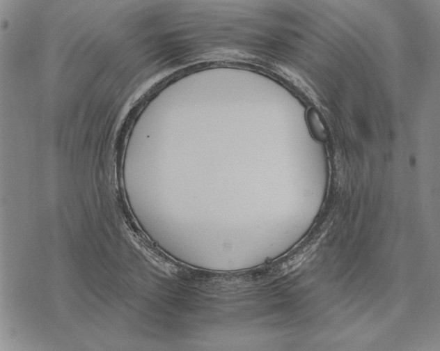 X0000075840931200610151541