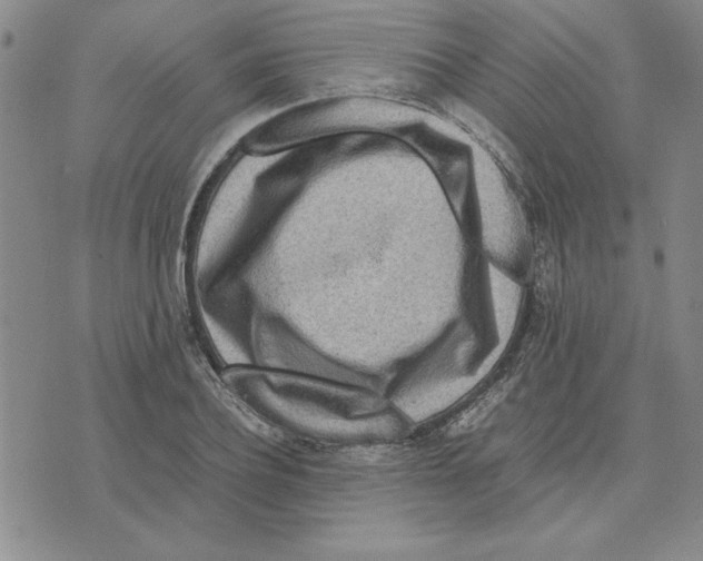 X0000075840932200610151541