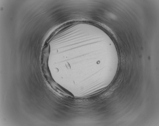 X0000075840935200610151541