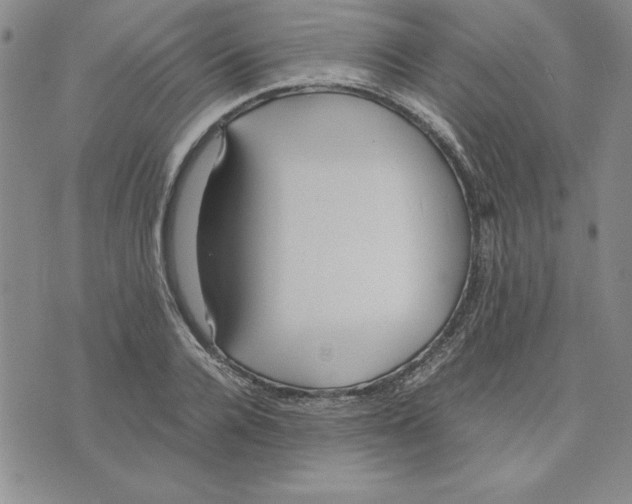 X0000075840936200610151541