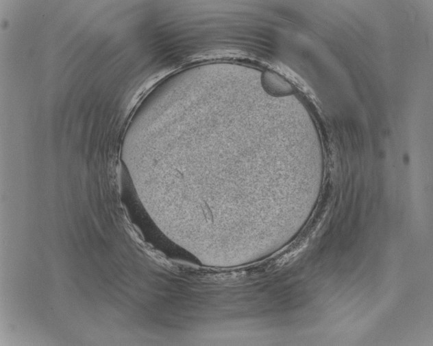 X0000075840937200610151541