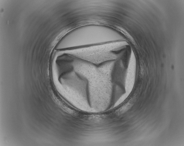 X0000075840938200610151541