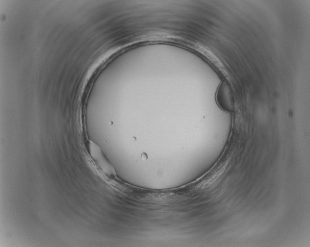 X0000075840939200610151541