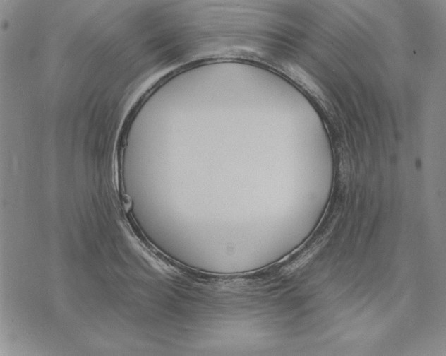 X0000075840940200610151541