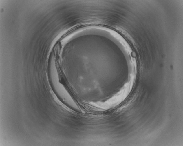 X0000075840941200610151541