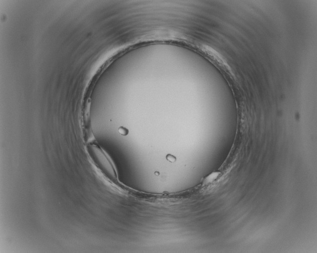 X0000075840942200610151541