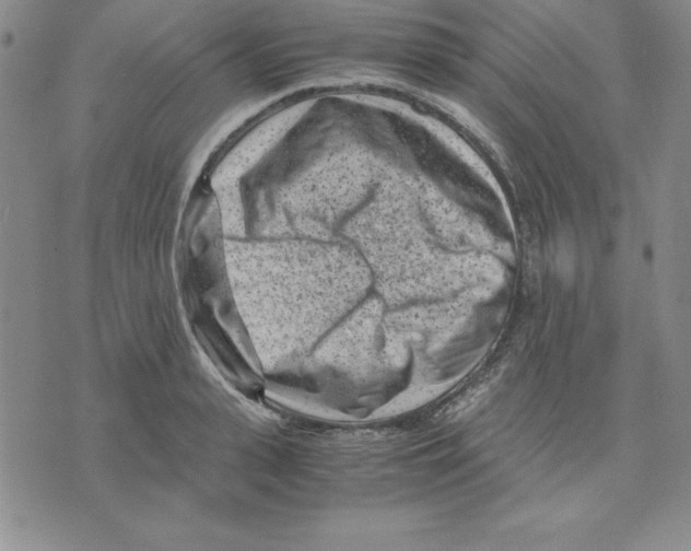 X0000075840943200610151541