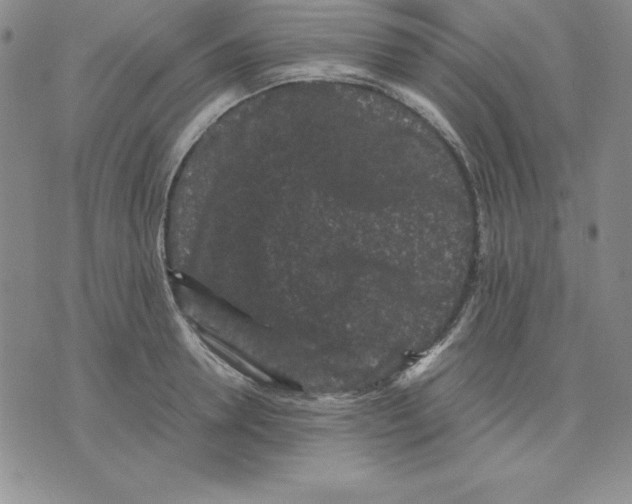 X0000075840946200610151541