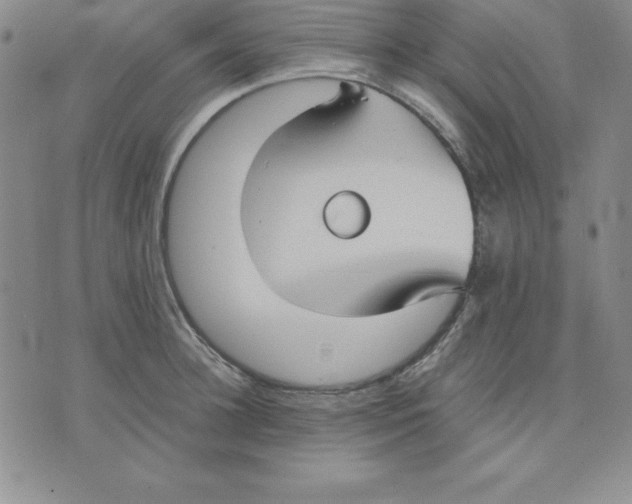 X0000075840948200610151541