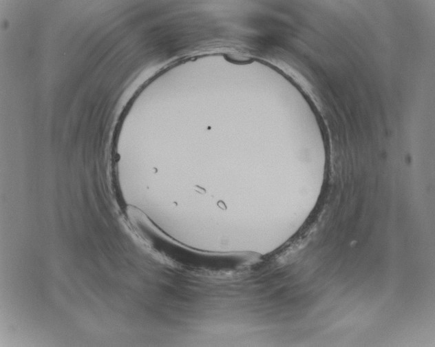 X0000075840949200610151541