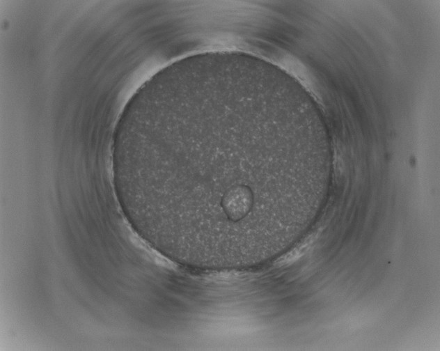 X0000075840950200610151541