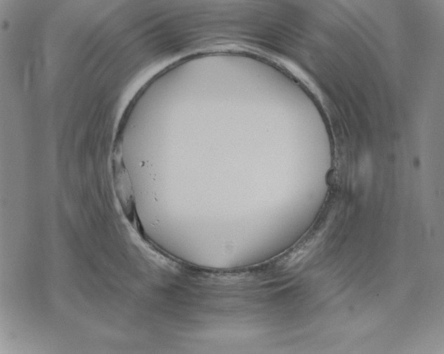 X0000075840951200610151542