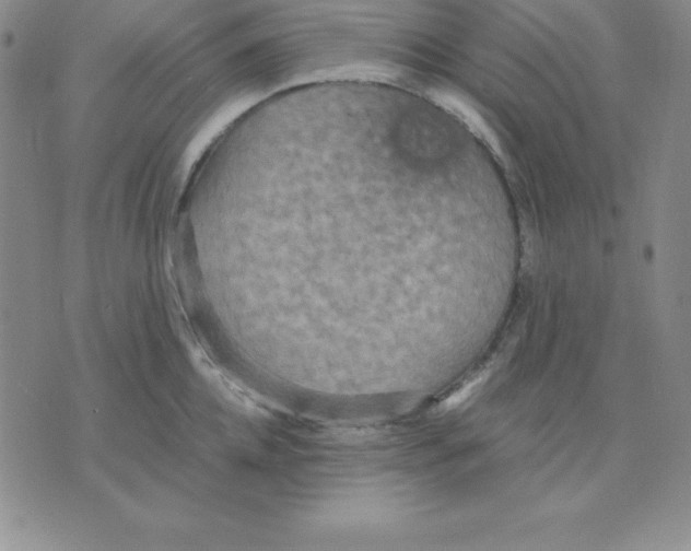 X0000075840952200610151542