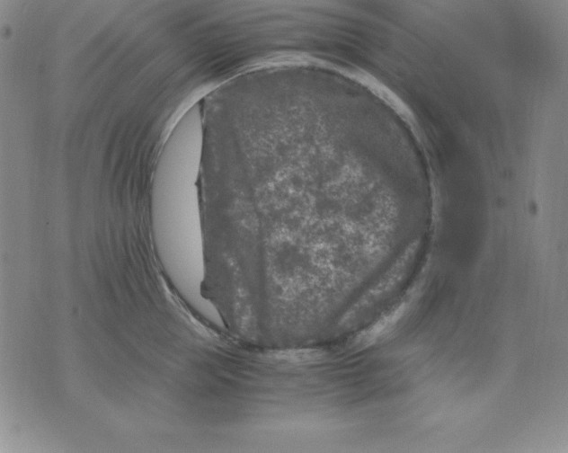 X0000075840953200610151542