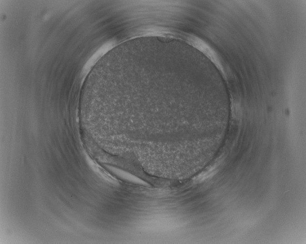 X0000075840954200610151542