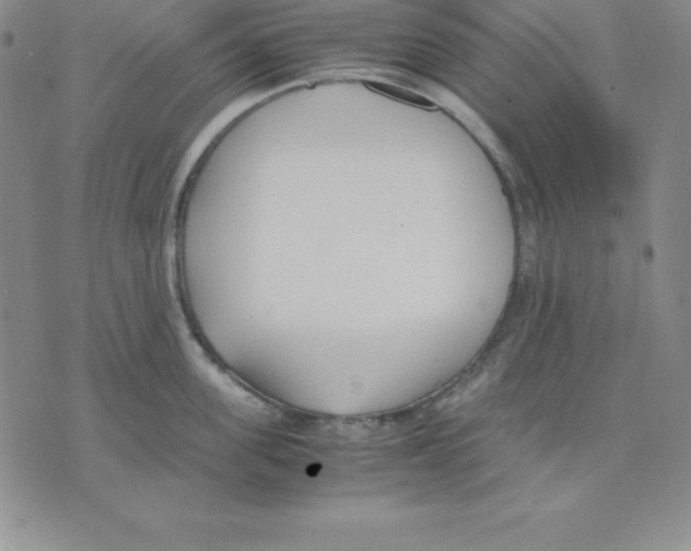 X0000075840955200610151542