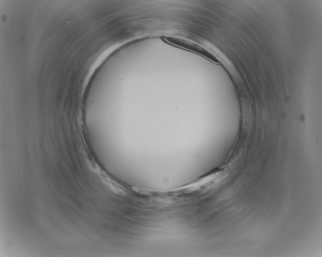 X0000075840956200610151542