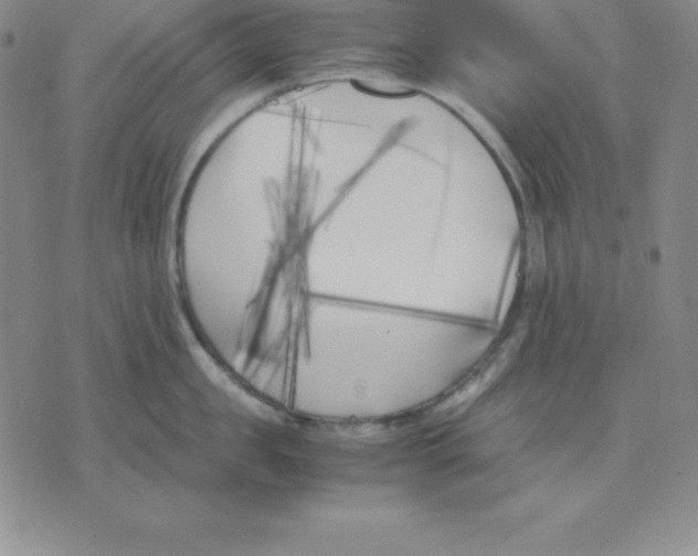 X0000075840957200610151542