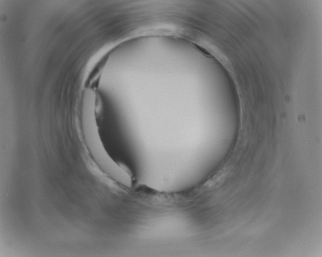 X0000075840960200610151542