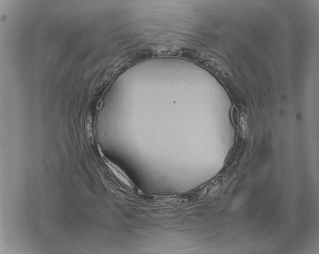 X0000075840963200610151541