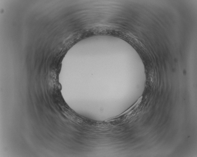 X0000075840964200610151541