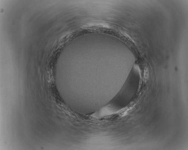 X0000075840965200610151541