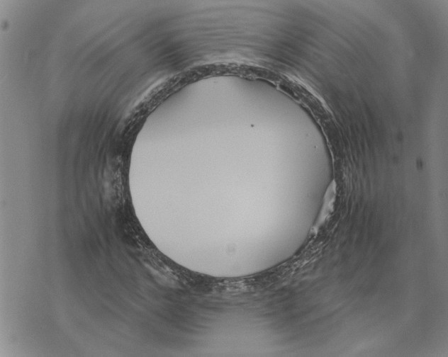 X0000075840968200610151541