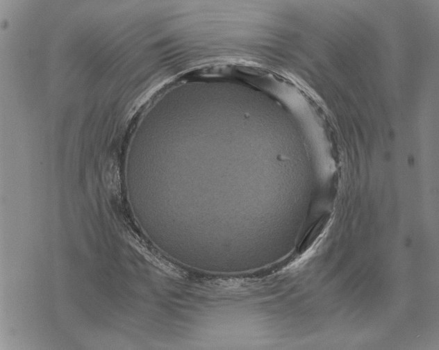 X0000075840969200610151541