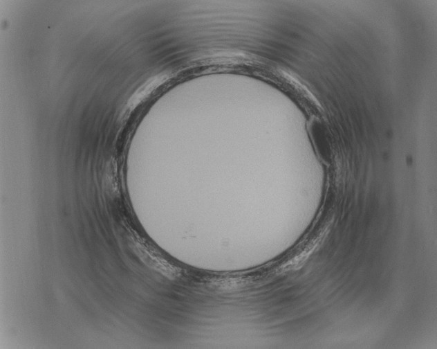 X0000075840970200610151541