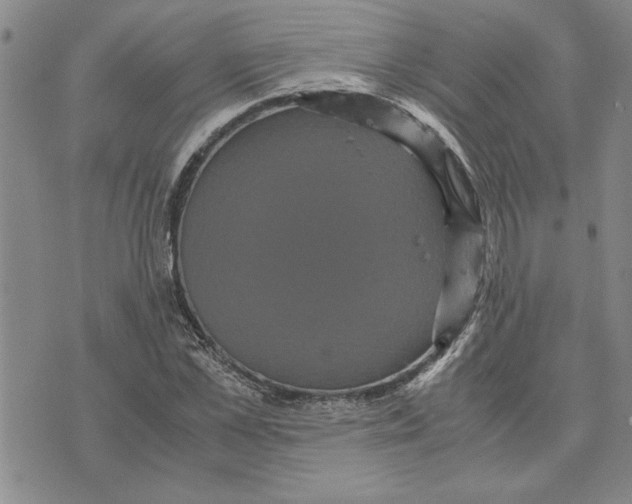 X0000075840973200610151541