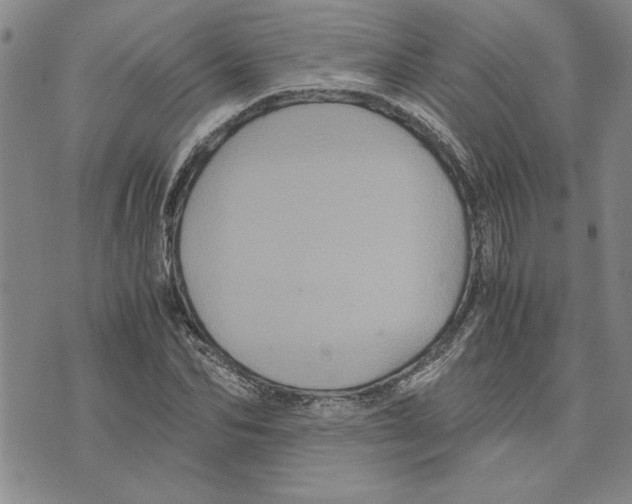 X0000075840974200610151541