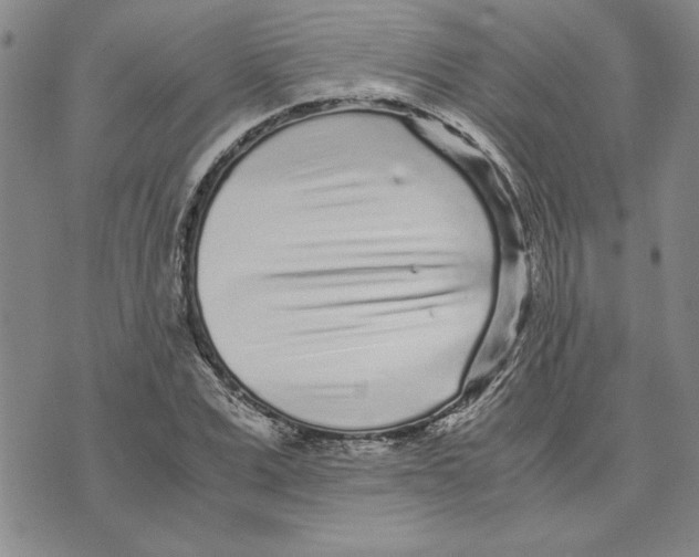 X0000075840975200610151541