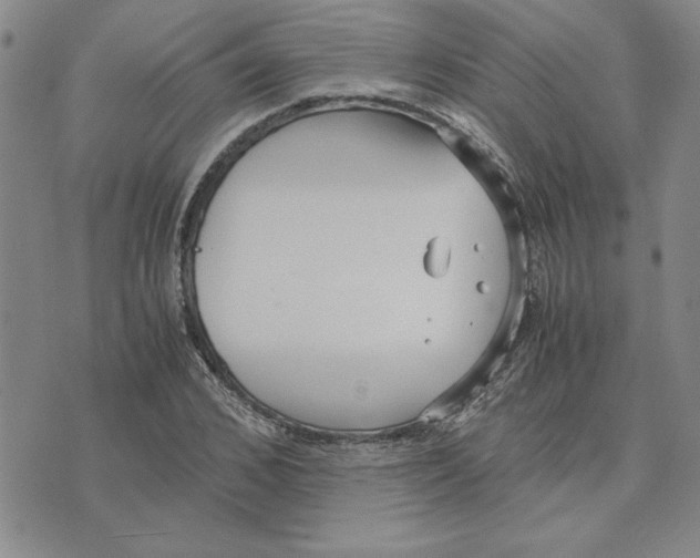 X0000075840976200610151541