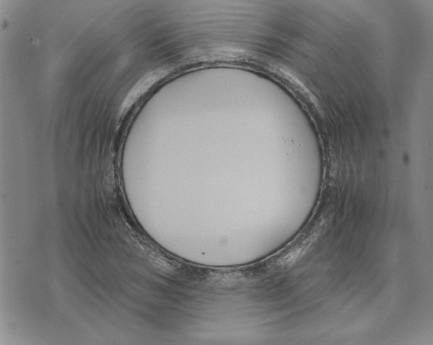 X0000075840978200610151541