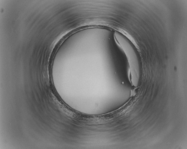 X0000075840980200610151541