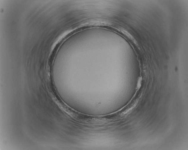 X0000075840981200610151541