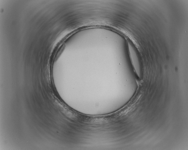 X0000075840982200610151541