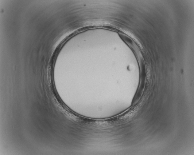 X0000075840983200610151541