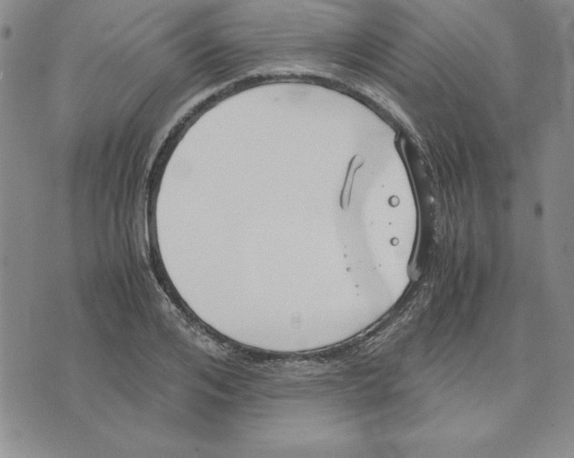 X0000075840984200610151540