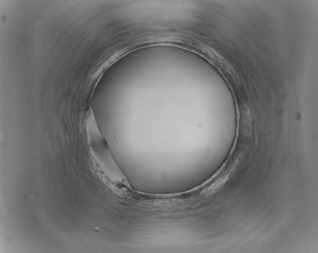 X0000075840985200610151540