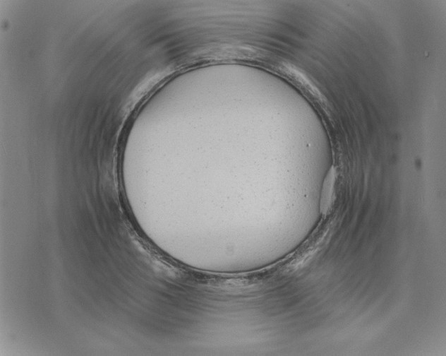 X0000075840986200610151540