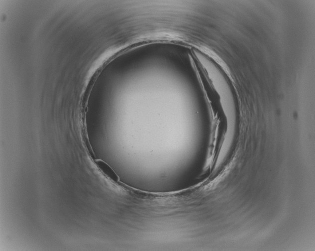 X0000075840989200610151540