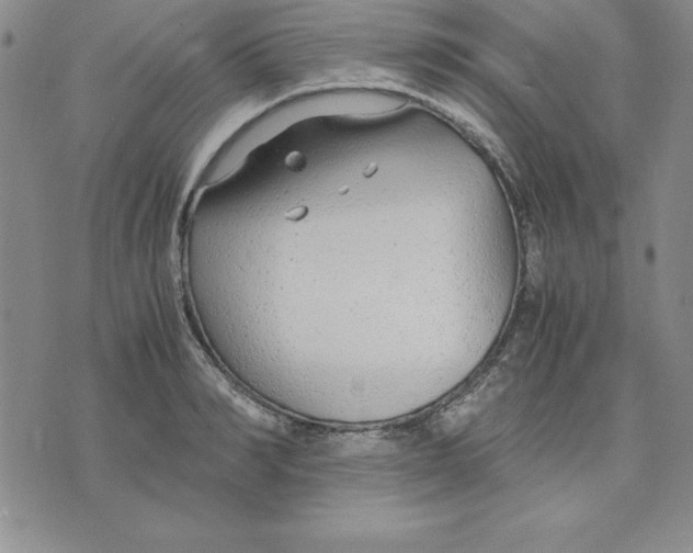 X0000075840990200610151540