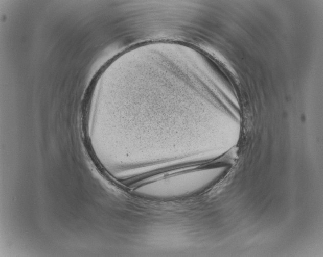 X0000075840991200610151540