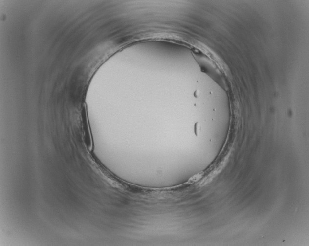 X0000075840993200610151540