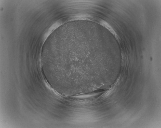 X0000075840994200610151540