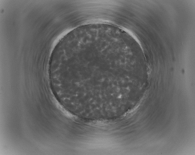 X0000075840995200610151540