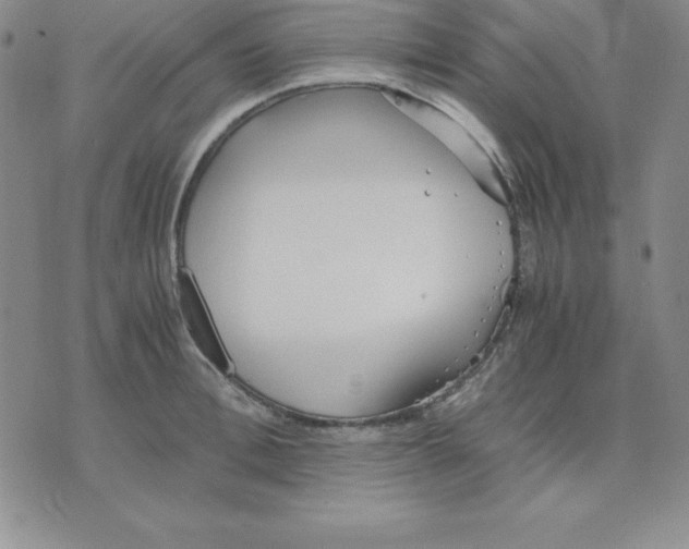 X0000075840996200610151540