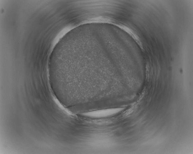 X0000075840998200610151540