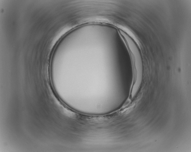 X0000075840999200610151540